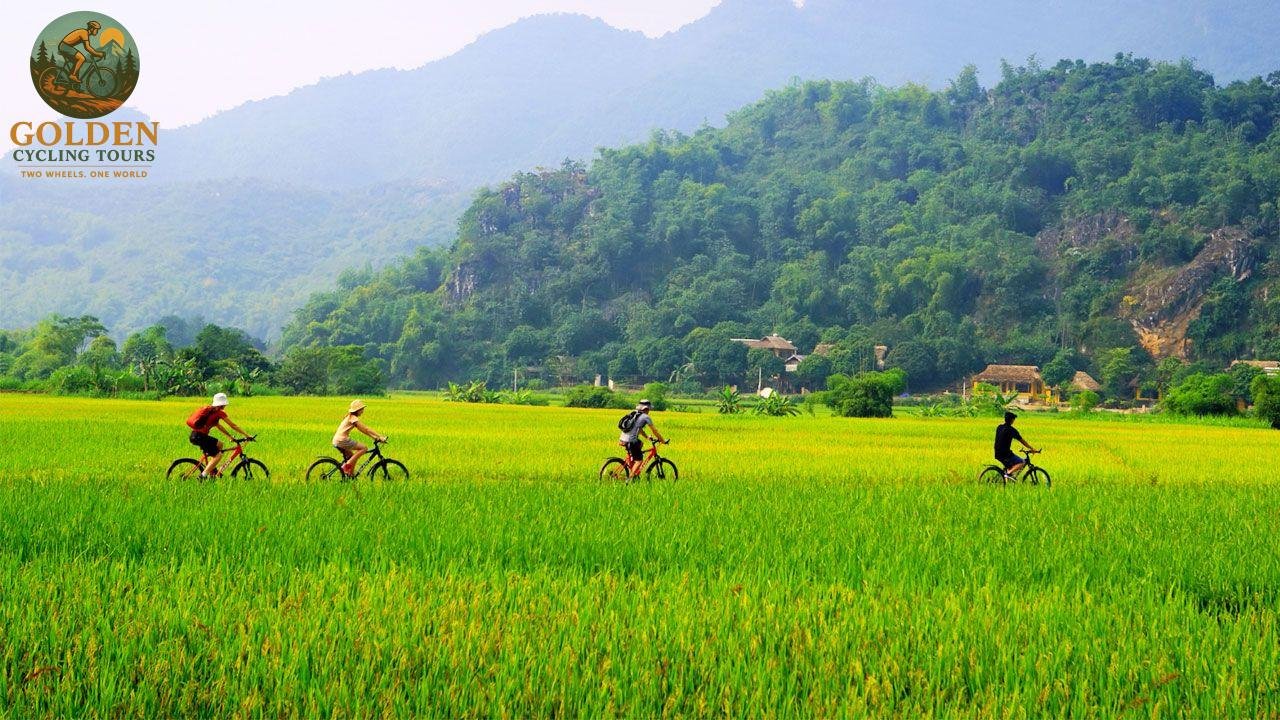 3 Days Ninh Binh Cycling Tour & Hồ Đồng Chương Camping